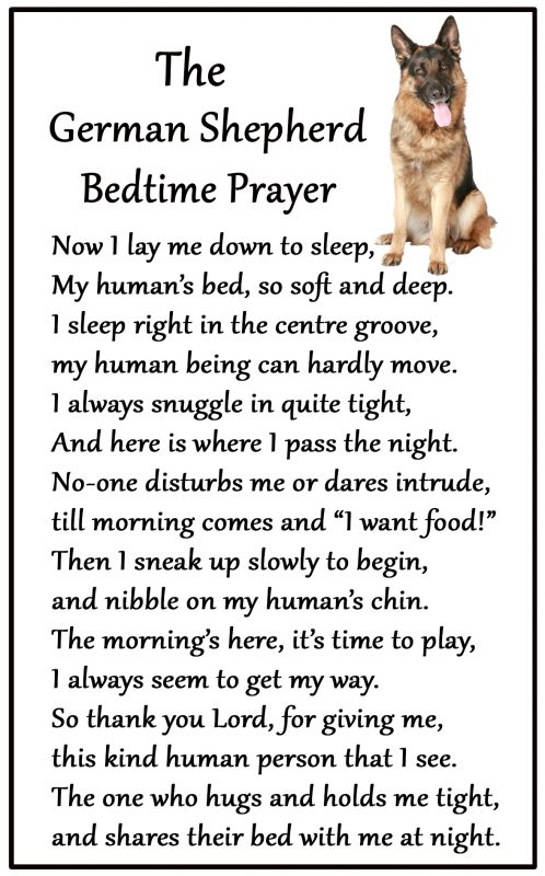 German Shepherd Dog Gift – Large ‘Bedtime Prayers’ Magnet 6″ x 4″ – Car ...