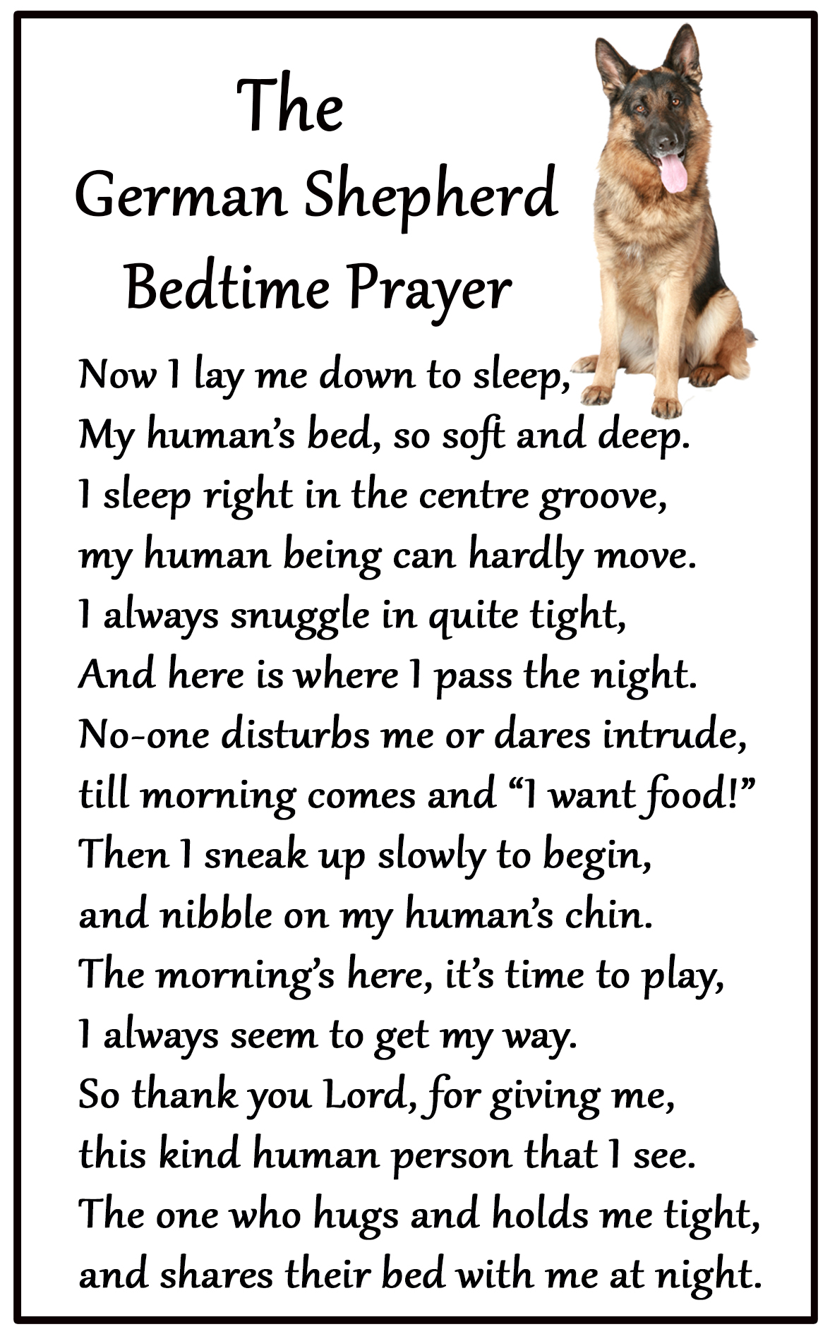 German Shepherd Dog Gift – Large 'Bedtime Prayers' Magnet 6″ x 4″ – Car  Pets – Gifts for dog and cat lovers