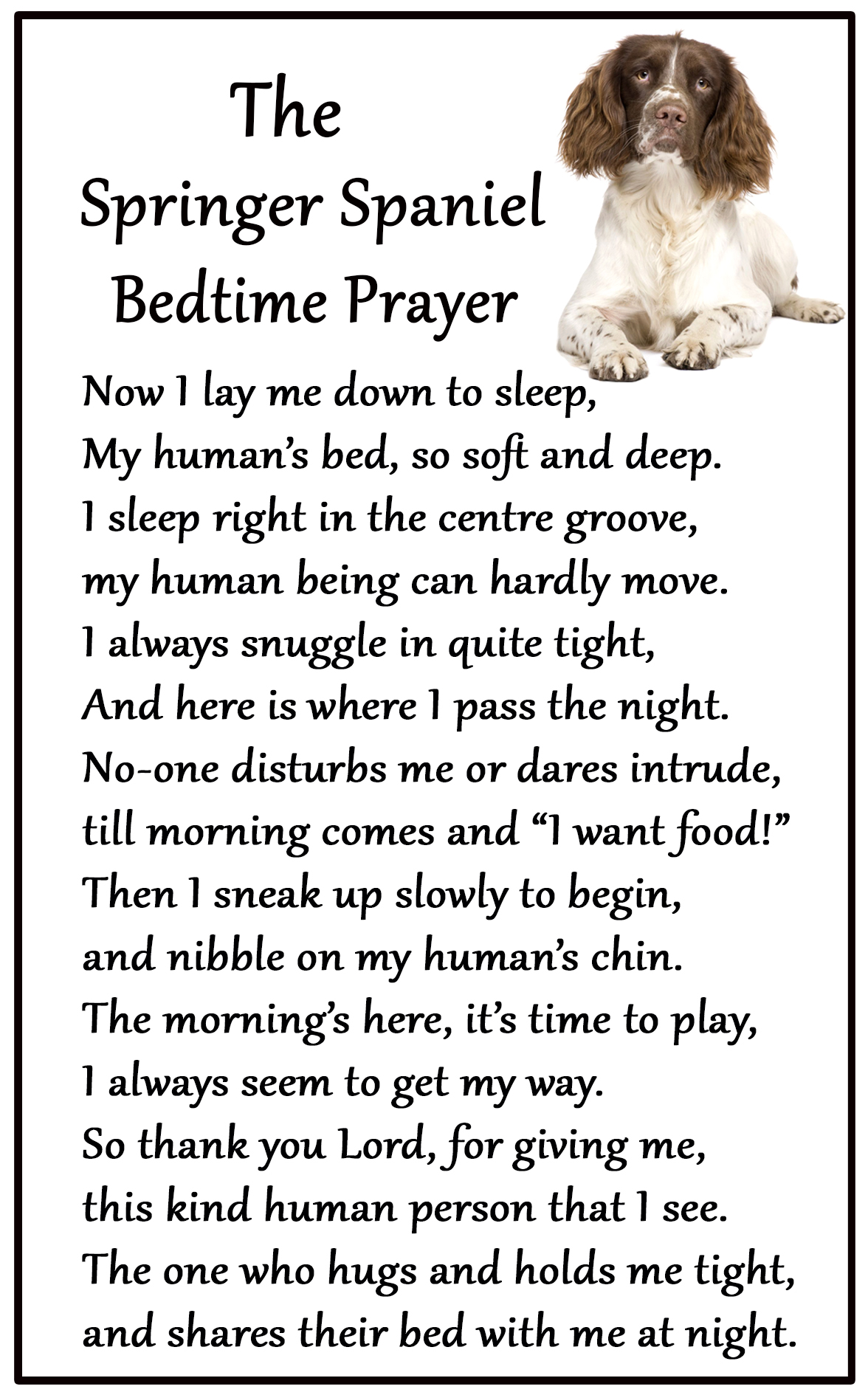 Large Fun flexible size 16cms x 10 cms Bedtime Prayer for Dog Lovers Fridge Magnets Cockapoo Black approx. 6 x4