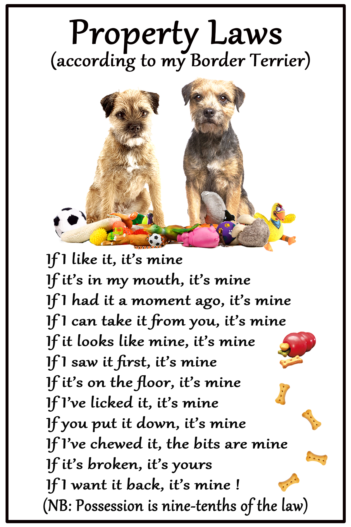 Border Terrier Dog Gift Large Property Laws 6″ x