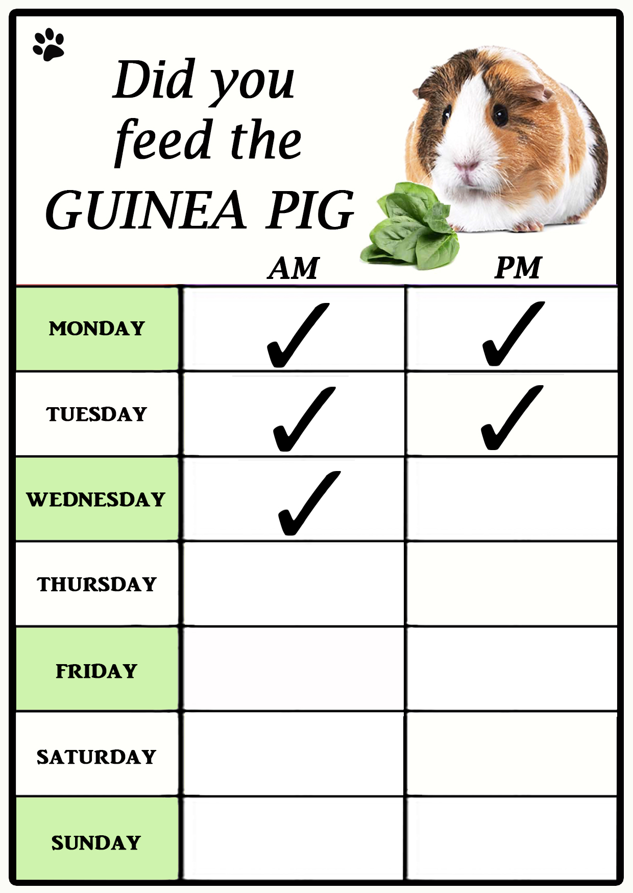 guinea-pig-feeding-chart-did-you-feed-the-guinea-pig-unique-dry-wipe-flexible-magnet-with