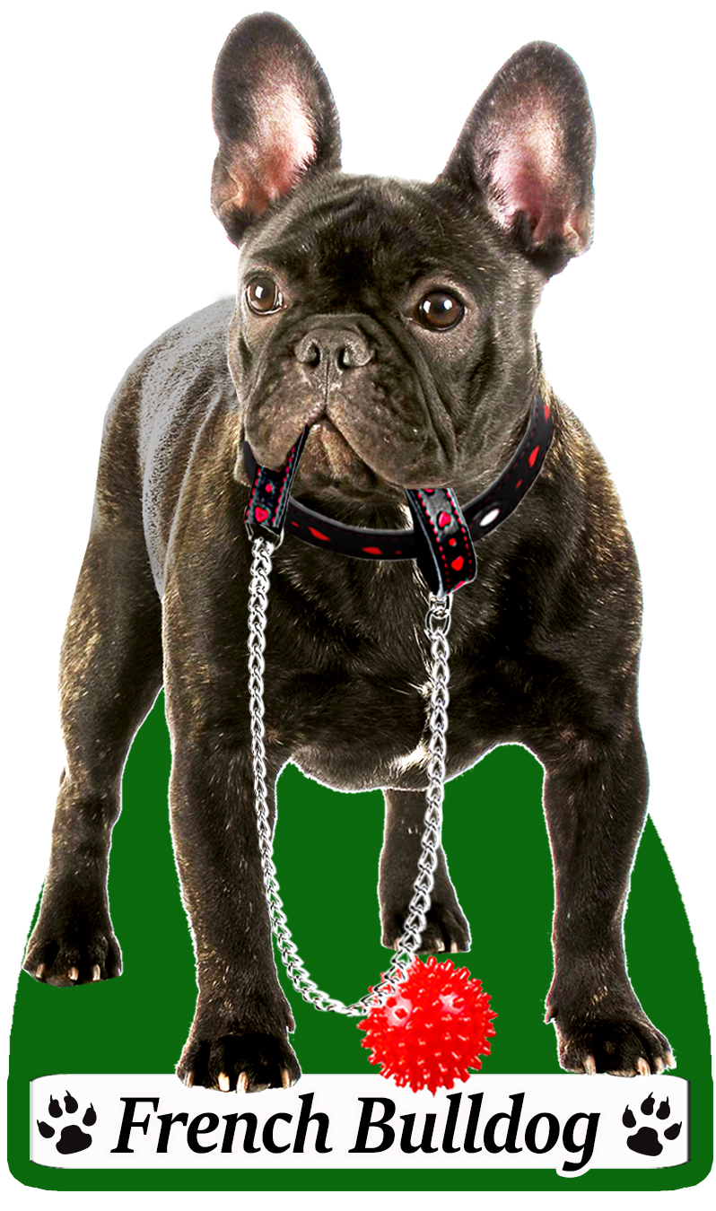 French Bulldog (Brindle) Dog Car Air Fresheners x 4 pieces ...