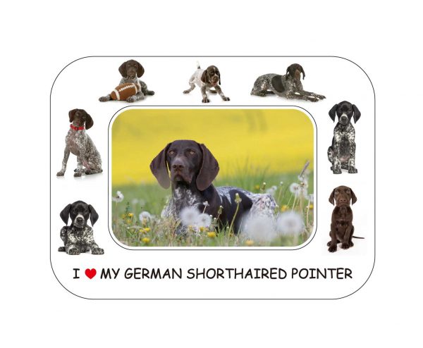 Funny German Short Hair Point House Rules Refrigerator Magnet Gift Card Insert 