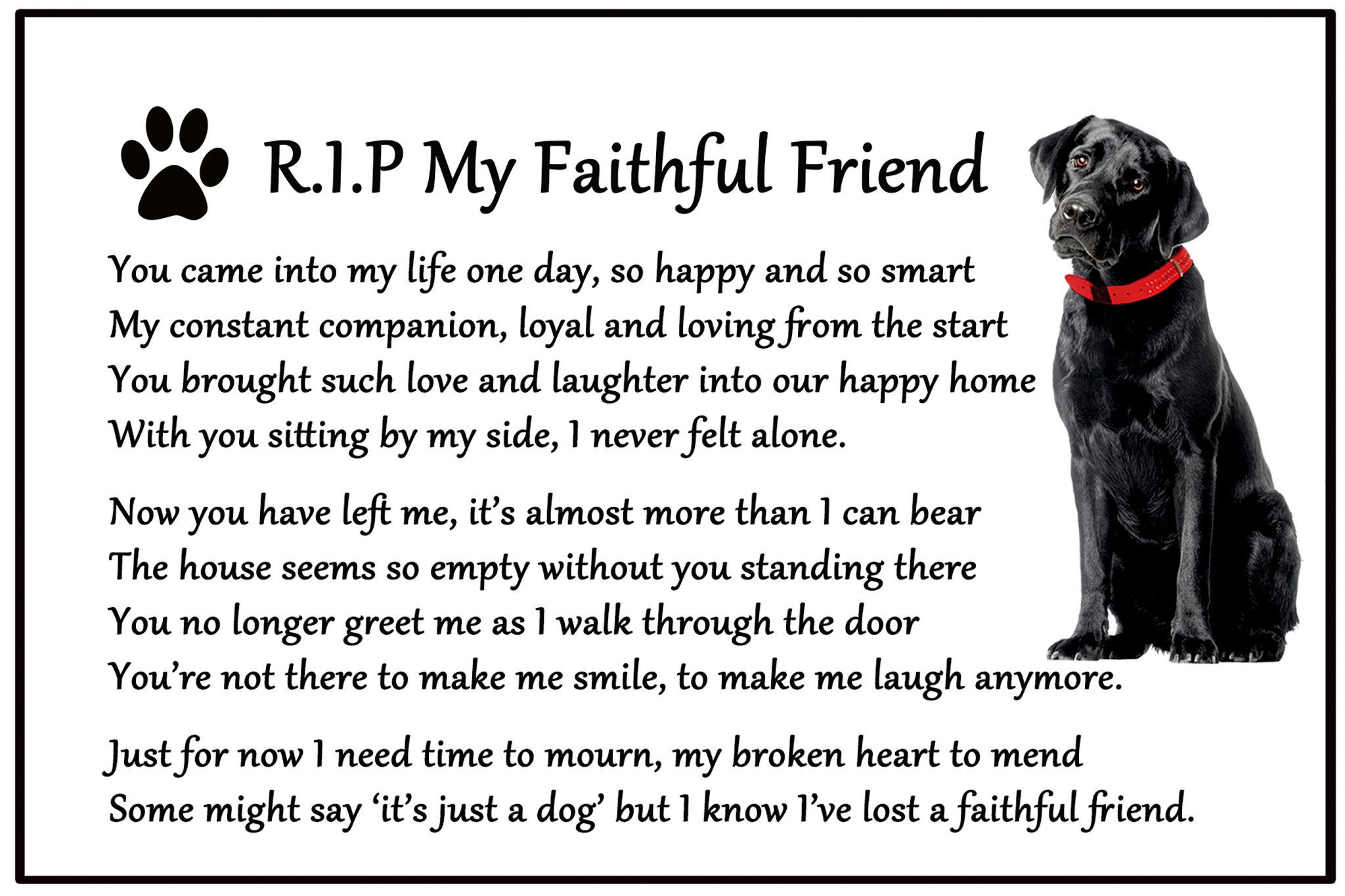 Labrador Black Lab Dog Bereavement Gift Magnet – RIP My Faithful Friend ...