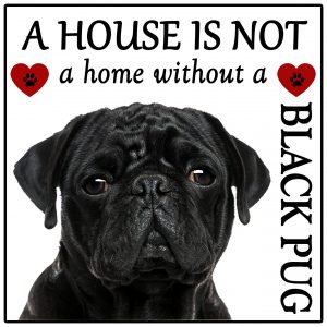 House is not a Home