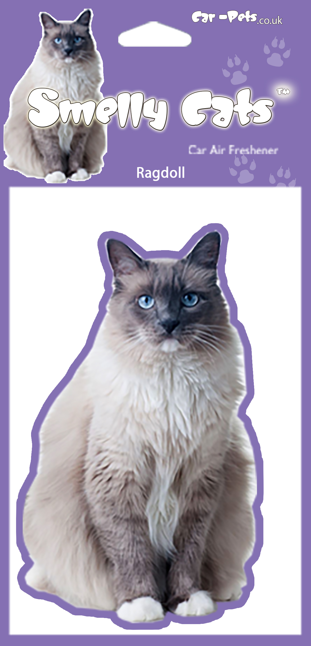 Ragdoll Cat Pet Store