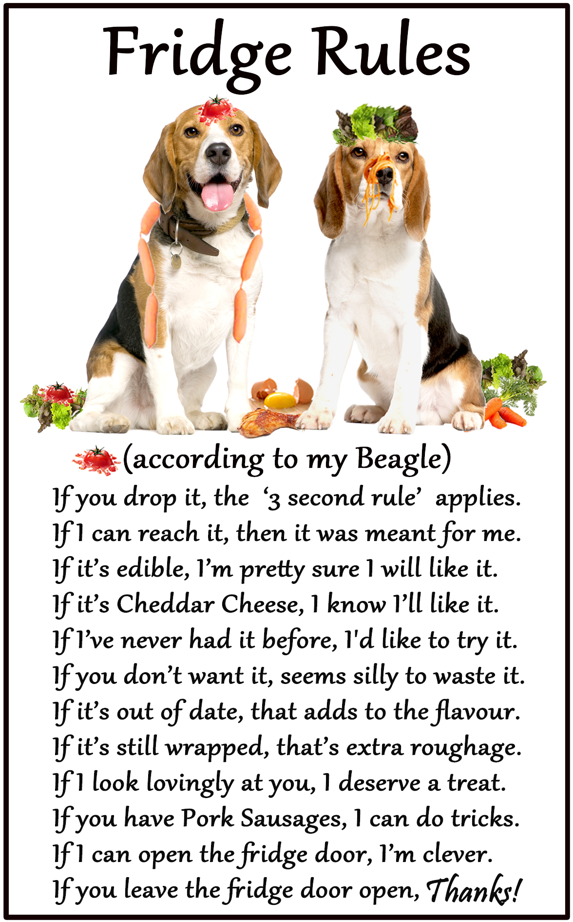 Beagle Hound Dog Gift Large Fridge Rules 6″ x 4″ Car Pets