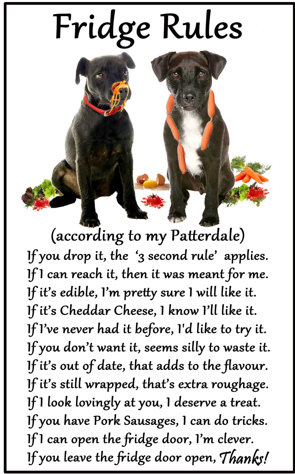 Patterdale Terrier Dog Fridge Magnet Stocking Filler Christmas Gift AD-PT2FM