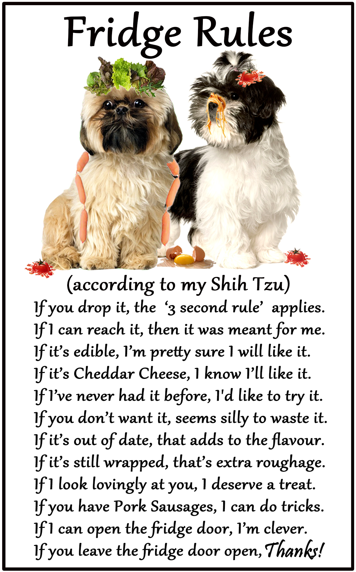 Magnet Gift Card Idea Funny Dog Shih Tzu House Rules Refrigerator 