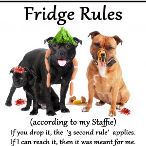 Fridge Rules