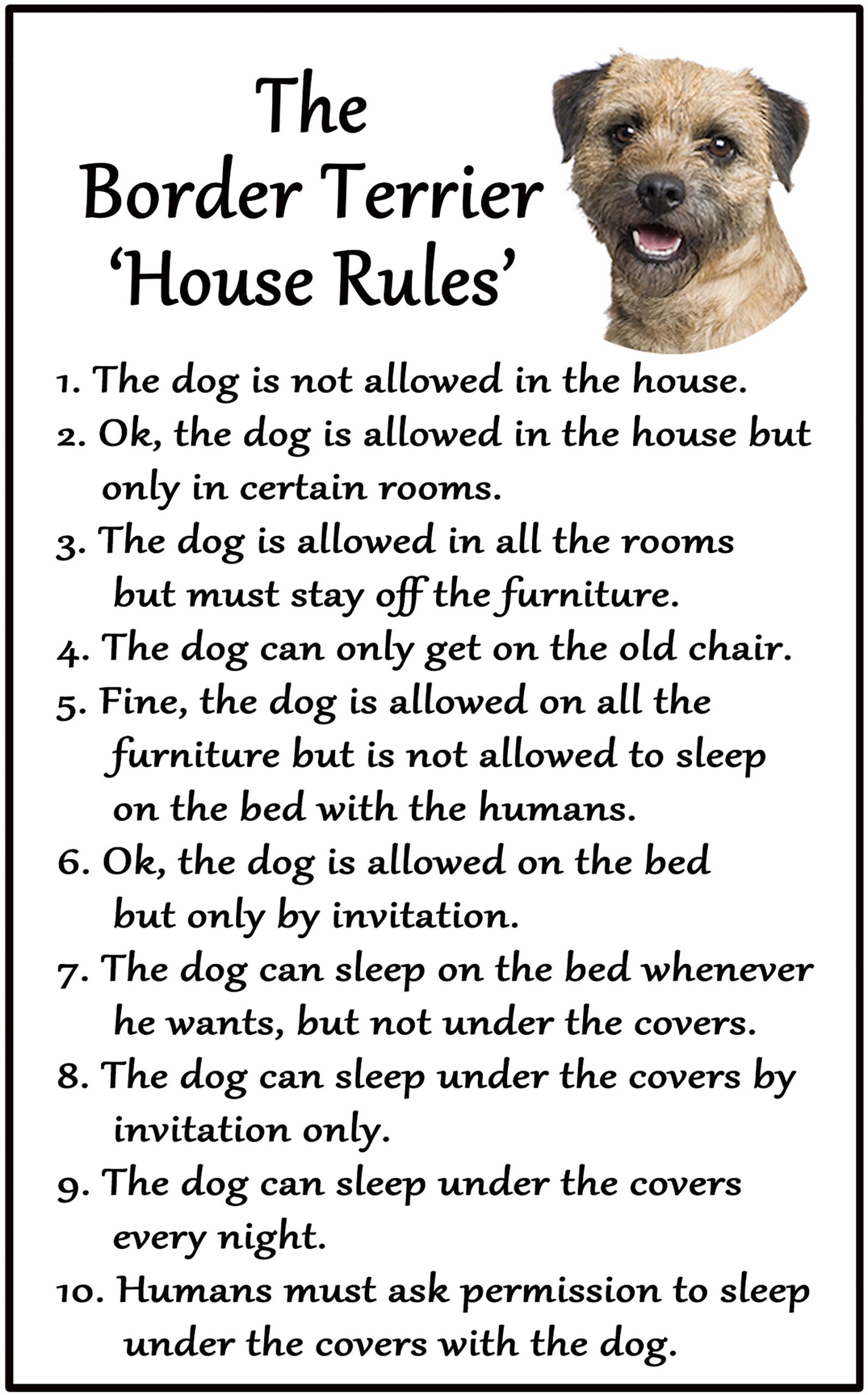 the dog house rules