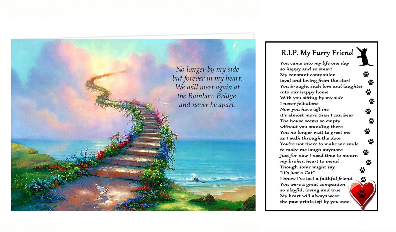 Cat Bereavement A5 Rainbow Card and RIP My Faithful Friend Flexible