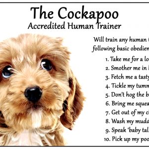 Accredited Human Trainer